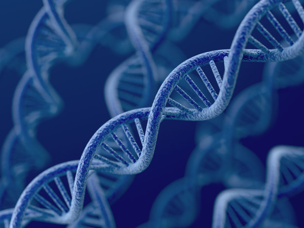 科学家指出DNA双螺旋结构